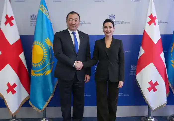 Обсуждены вопросы развития транспортно-логистического сотрудничества между Казахстаном и Грузией (2)
