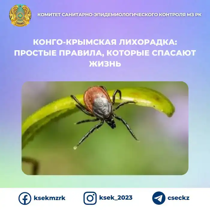 Конго-Крымская геморрагическая лихорадка меры профилактики и защита