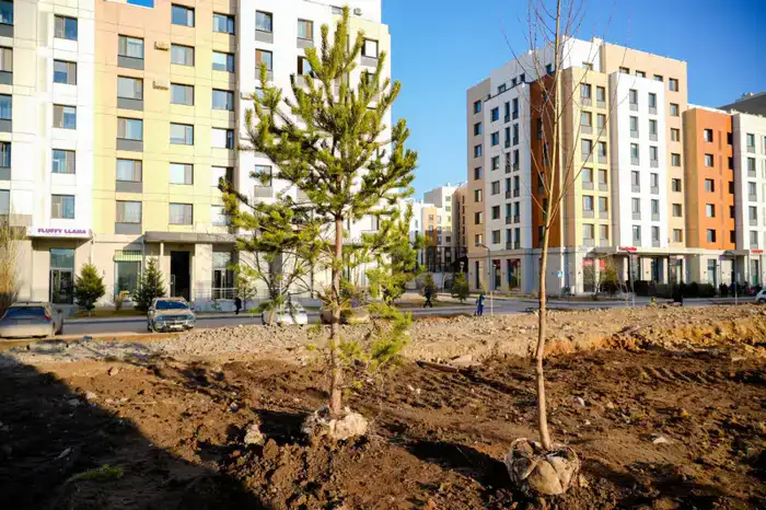 Миллион зеленых насаждений высадят в Астане в текущем году (2)