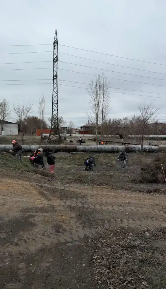 В Павлодарской области прошла экологическая акция «Таза қала» (4)
