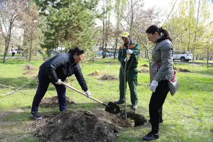 Алматы: в 2026 году город станет зеленым оазисом с 550 тыс. новых деревьев и кустарников