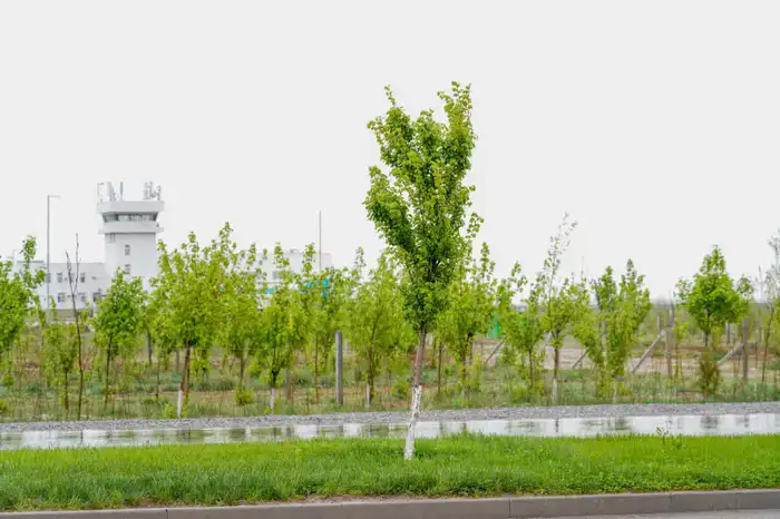 В Туркестанской области стартовали работы по созданию экопарка на 50 гектаров