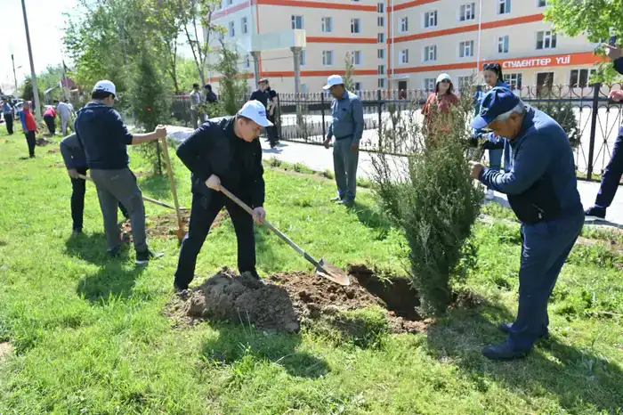 Звёзды эстрады на субботнике: чистим вместе!