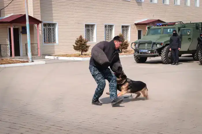 Школьники полицейских классов трёх районов ВКО побывали на экскурсии в Департаменте полиции (3)