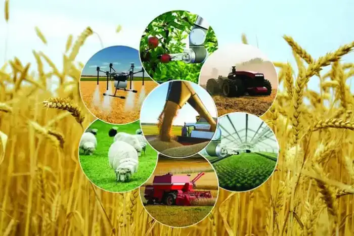 Атырауская область запускает 102 проекта в рамках программы «Ауыл аманаты»