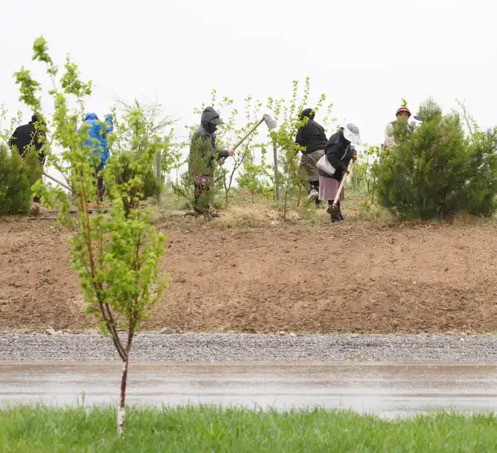 В ТУРКЕСТАНЕ ОБСУДИЛИ ХОД СОЗДАНИЯ ЭКОПАРКА (4)