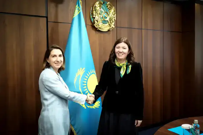 Минпросвещения обсудило сотрудничество с международной организацией (7)