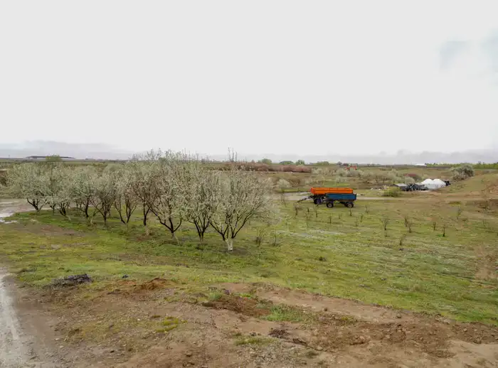 В ТУРКЕСТАНЕ ОБСУДИЛИ ХОД СОЗДАНИЯ ЭКОПАРКА (5)