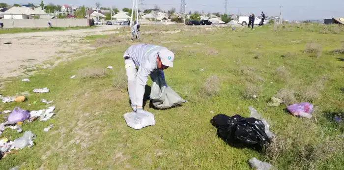 В Шымкенте прошёл день чистоты: около 500 человек убрали мусор и привели в порядок зелёные зоны