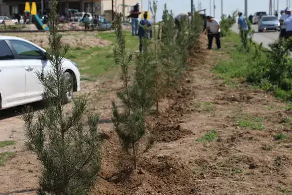 «ТАЗА ҚАЗАҚСТАН»: В САРЫАГАШСКОМ РАЙОНЕ ПРОШЛА АКЦИЯ ЧИСТОТЫ (2)