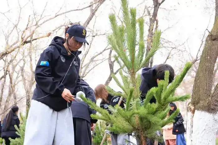 «Таза Қазақстан»: В Караганде за день посадили 400 деревьев (10)