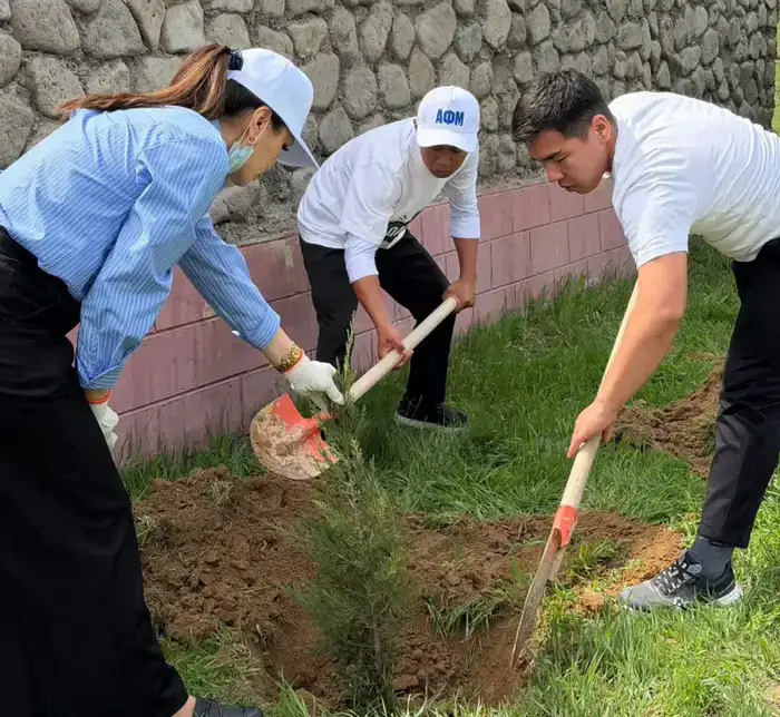 Саженцы надежды: в Туркестанской области озеленяют землю в рамках проекта 'Таза Қазақстан'