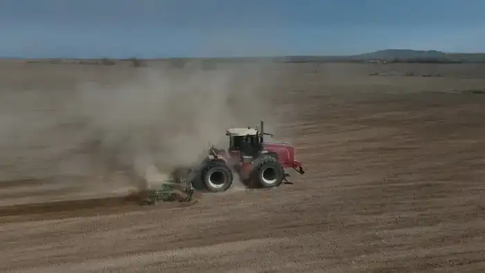 В Жетісу стартовал сев сахарной свёклы на 13 тыс. гектаров (4)