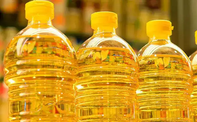 Строительство маслоэкстракционного завода в СКО: новый импульс для агропромышленности региона