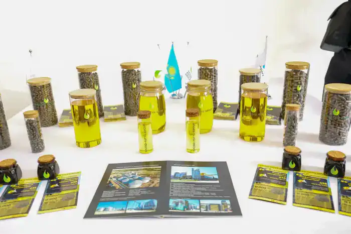 Олжас Бектенов проверил исполнение поставленных Президентом задач по реализации индустриальных и социальных проектов в области Абай (4)