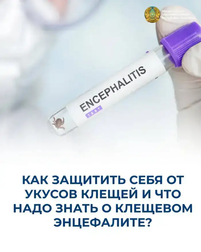 Увеличение случаев укусов клещей в Казахстане: врачи предупреждают о необходимости вакцинации