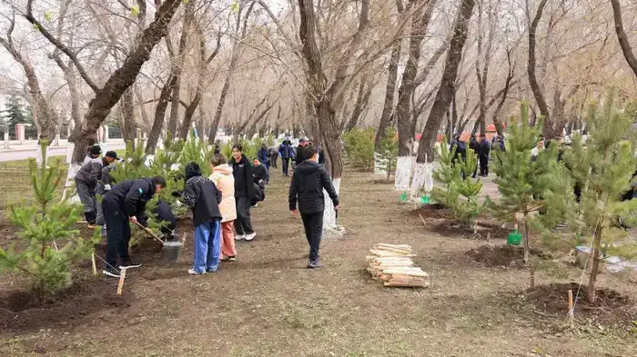 Посадка 400 деревьев в Караганде для улучшения экологии