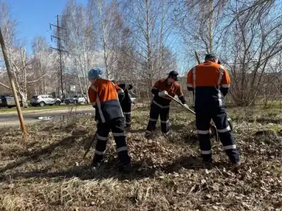 В Риддере высадили более 20 тысяч деревьев (5)