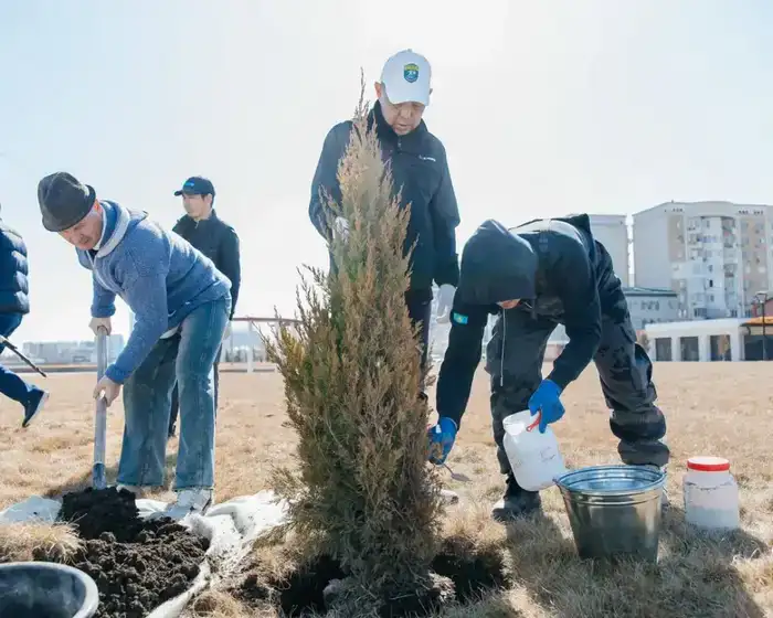В Атырау планируют высадить 29 тысяч деревьев для улучшения городской экологии