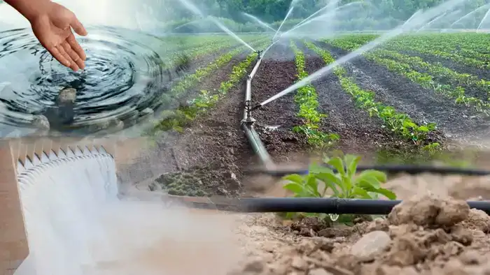 Министерство объявляет о новых мерах по субсидированию водосберегающих технологий для фермеров Шымкенте