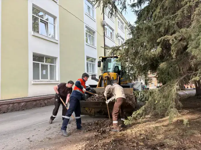 Глобальное сообщество объединяется в борьбе с мусором: жители Риддера собрали более 5 тонн отходов