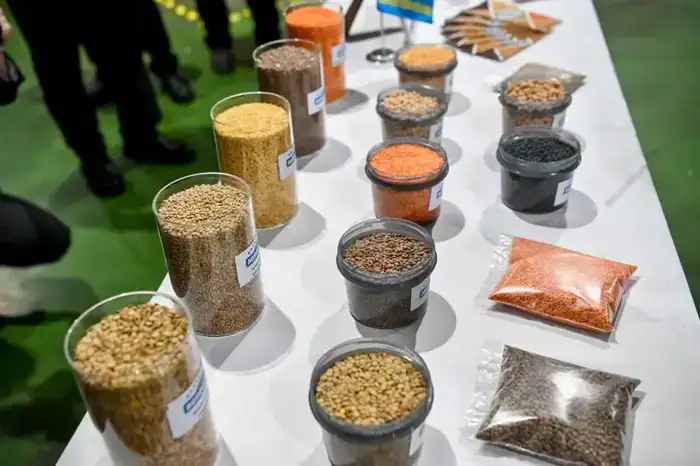 Олжас Бектенов проверил исполнение поставленных Президентом задач по реализации индустриальных и социальных проектов в области Абай (2)