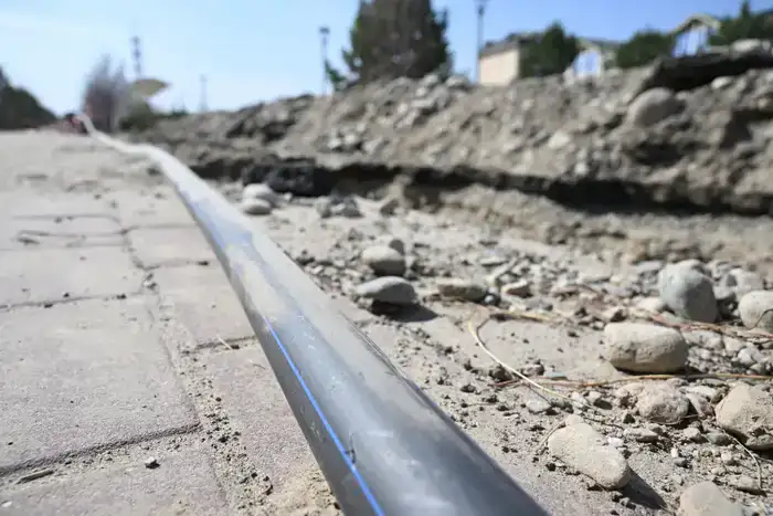 «Таза Қазақстан»: в рамках общеобластного субботника в Жетісу посадили свыше 8 тысяч деревьев (5)