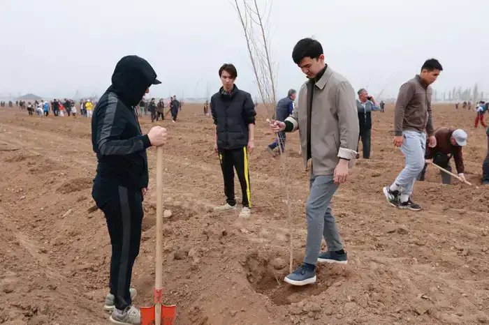 Таза Қазақстан: в Таразе высажено 10 тысяч деревьев (9)