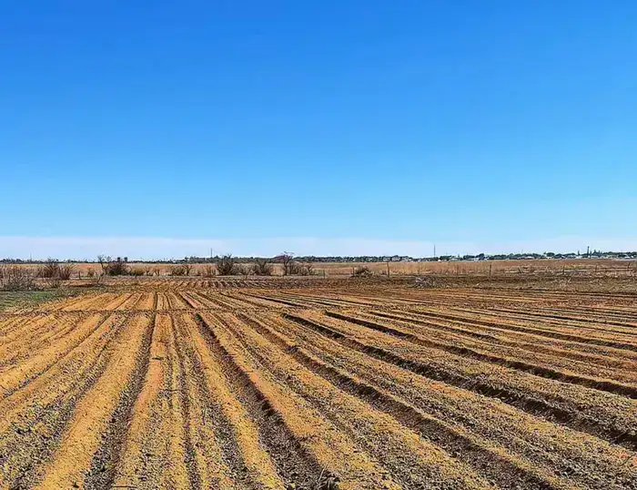 В Шалкарском районе набирают темпы весенне-полевые работы (2)