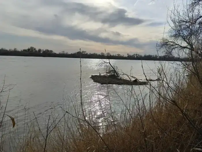 Научный бой с комарами: кто победит в Туркестане?