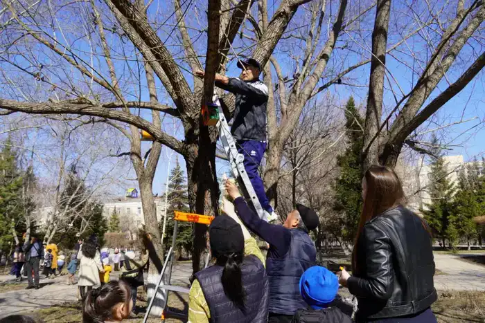 В Астане прошла городская экологическая акция «Птицы - наши Друзья» (9)