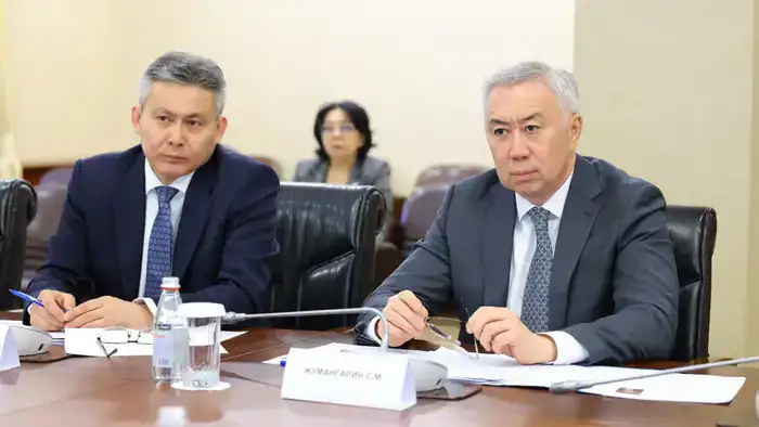 Встреча Жумангарина с украинским замминистра в Алматы