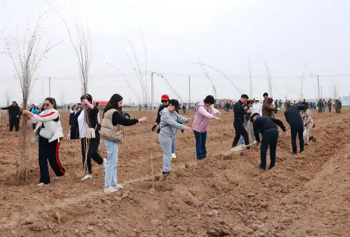 Таза Қазақстан: в Таразе высажено 10 тысяч деревьев (7)