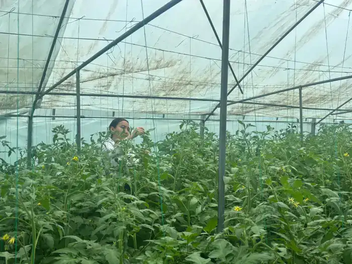 ШЫМКЕНТ: УЧАЩИЕСЯ IT-ЛИЦЕЯ №89 УЧАТСЯ ЭКОЛОГИЧЕСКОЙ КУЛЬТУРЕ ЧЕРЕЗ ПРАКТИЧЕСКИЕ ИНИЦИАТИВЫ