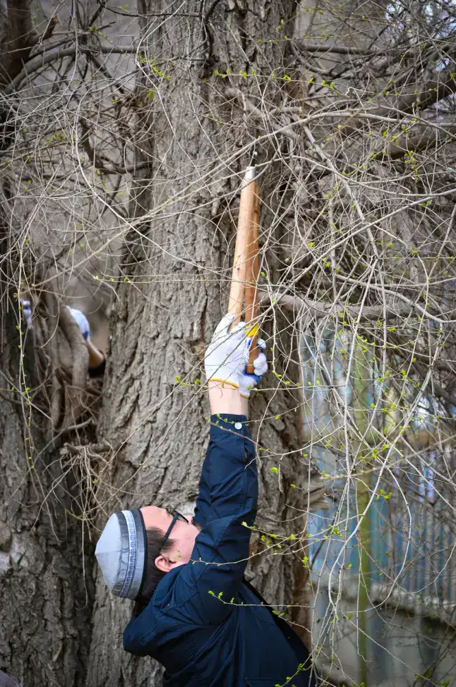 «Таза Қазақстан»: в Актобе прошла масштабная акция «Таза қала» (2)