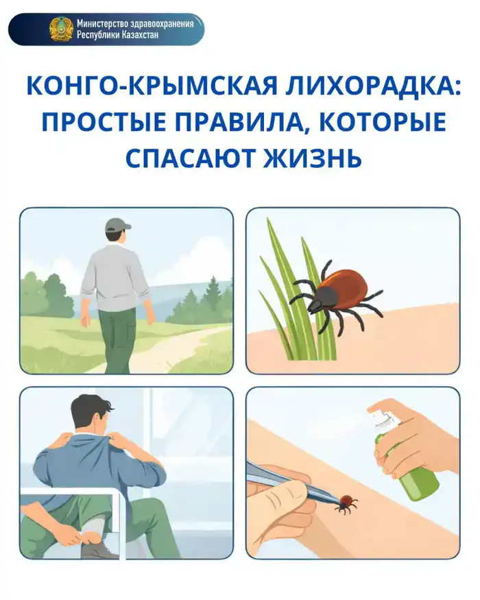 Профилактика Конго-Крымской геморрагической лихорадки: международные рекомендации по безопасности