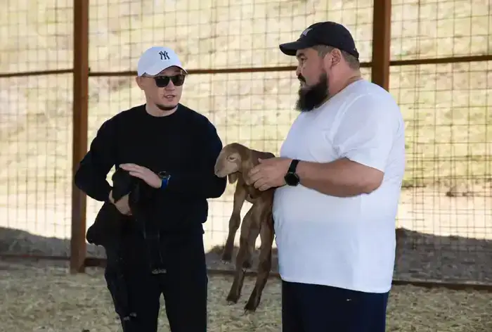 Рост поголовья овец в Жамбылском районе: влияние на местное животноводство и экономику