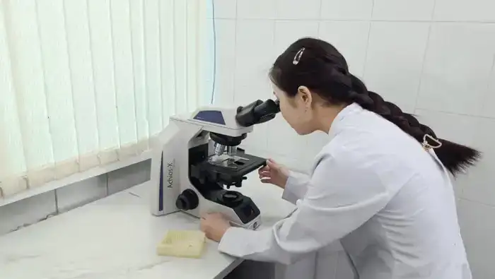 В Семее открыли современный селекционный центр овцеводства для улучшения пород Шымкенте