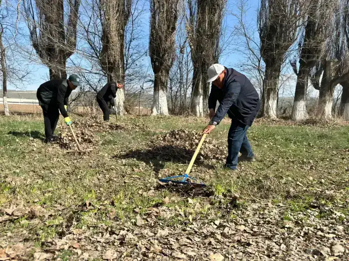 «Таза Қазақстан»: в рамках общеобластного субботника в Жетісу посадили свыше 8 тысяч деревьев (8)