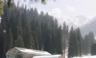 Уборка в горах Алматы: кофе за помощь природе