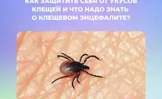 Укус клещей профилактика и информация о клещевом энцефалите