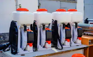 Дезинсекционные работы начнутся в Астане с конца апреля