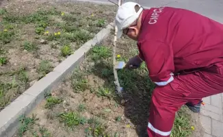 Более 100 работников ТРЦ высадили 350 деревьев в Астане в рамках акции «Таза Қазақстан»