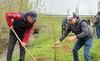 «Таза Қазақстан»: В Толебинском районе высажено около 9000 деревьев в рамках экологической инициативы