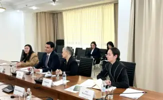 Казахстан и NDC Partnership: сотрудничество в развитии углеродного рынка