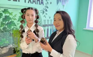 Школьница из Астаны инициирует проект по разведению улиток для изучения экологии в школе