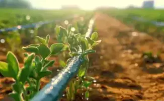 Снижение водопотребления в аграрном секторе при весенне-полевых работах