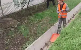 Строительные компании Алматы участвуют в субботнике, поддерживая экологическую ответственность