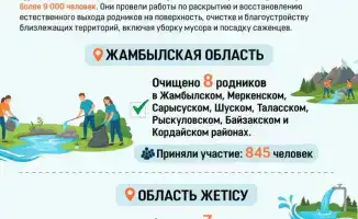 Чистота родников Казахстана: акция «Мөлдір бұлақ»