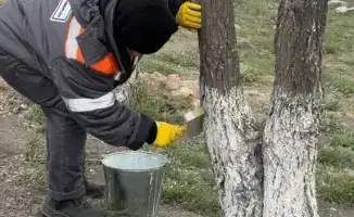 Экологическая акция в Павлодарской области: шаг к устойчивому будущему через совместные усилия